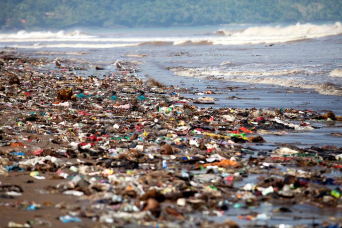 Environmental Pollution on the Beach